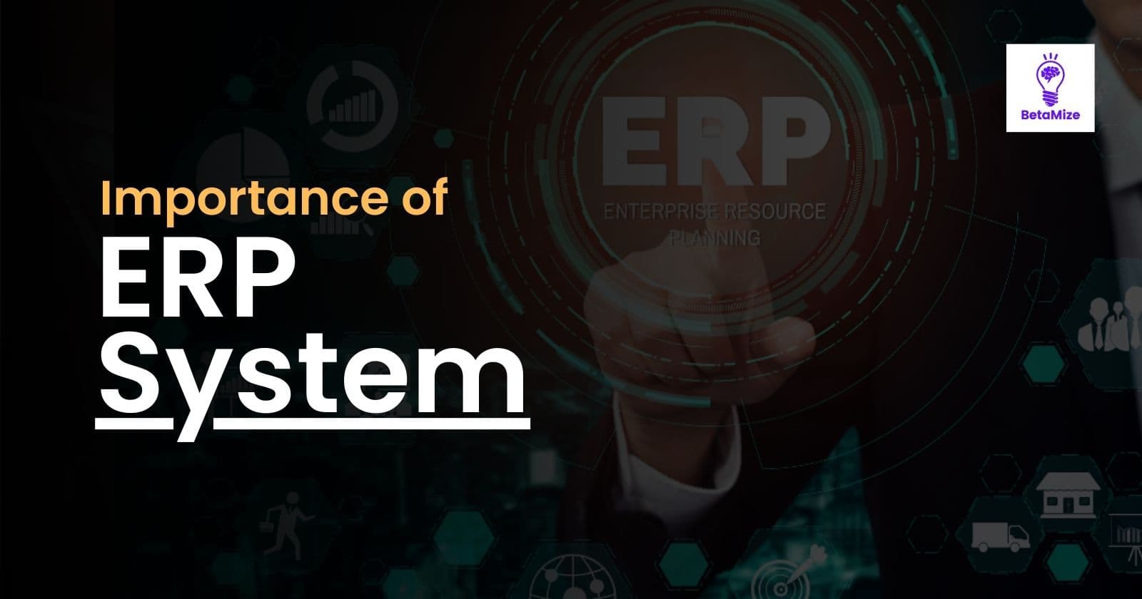 Importance of ERP System
